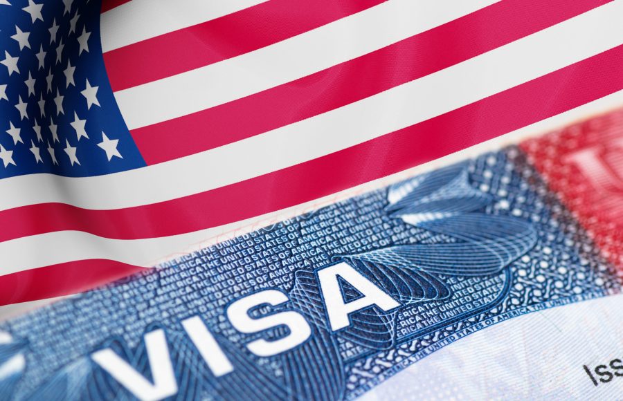 Visa stamp travel passport immigration macro emigration